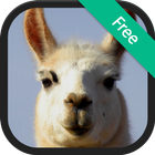 Llama sound ringtones icon