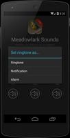 برنامه‌نما Meadowlark bird sounds عکس از صفحه
