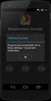 Meadowlark bird sounds syot layar 2