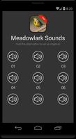Meadowlark bird sounds capture d'écran 3