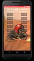 Mouse and Rat sounds Affiche
