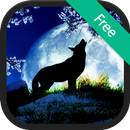 Nocturnal Animal Sounds APK