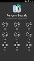 پوستر Penguin Sounds