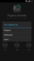 Pigeon Sounds capture d'écran 1