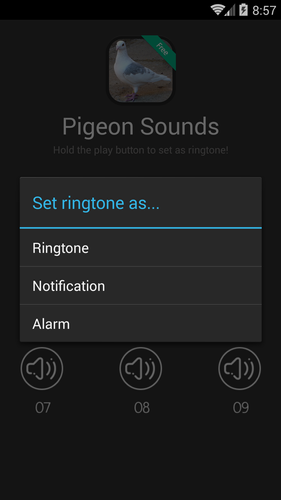 Pigeon voice ringtone downloads Pigeon voice ringtone downloads