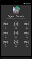 Pigeon Sounds capture d'écran 3