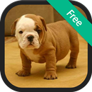 Puppy Sound Ringtones APK