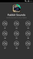 兔子和兔子声音 海报