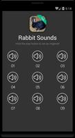 兔子和兔子声音 截图 3