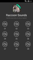 Raccoon Calls & Sounds Affiche