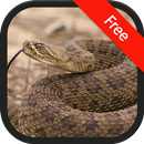 Rattlesnake (Animal) Sounds APK