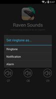 Raven bird sounds Ekran Görüntüsü 1