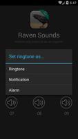 レイヴン鳥の音 スクリーンショット 1