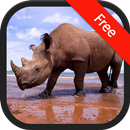 Âm thanh của tê giác APK