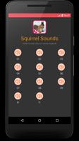 Squirrel Sounds gönderen
