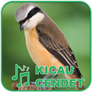 Kicau Burung Masteran Cendet-APK