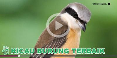 برنامه‌نما Kicau Burung Masteran Cendet عکس از صفحه