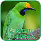 Kicau Burung Masteran Cucak icon