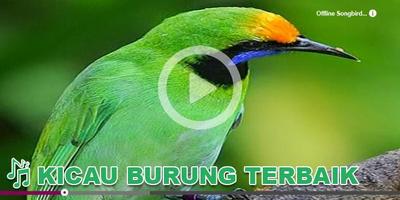 برنامه‌نما Kicau Burung Masteran Cucak عکس از صفحه