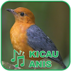 Kicau Burung Masteran Anis 圖標