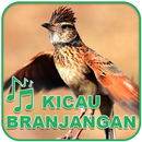 Kicau Burung Masteran Branjangan APK