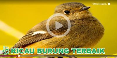 برنامه‌نما Kicau Burung Masteran Bulbul عکس از صفحه