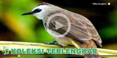 Kicau Burung Masteran Bulbul Ekran Görüntüsü 1