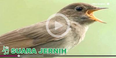 برنامه‌نما Kicau Burung Masteran Bulbul عکس از صفحه