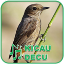 Kicau Burung Masteran Decu APK