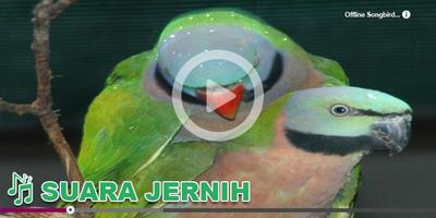 Kicau Burung Masteran Juara Ekran Görüntüsü 2