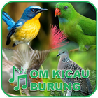 آیکون‌ Suara Burung Om Kicau