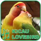 Kicau Burung Masteran Lovebird 圖標