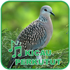 Kicau Burung Masteran Perkutut আইকন