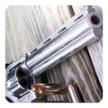 Magnum 44 gun