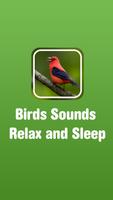 Birds Sounds Relax and Sleep Affiche
