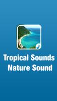 Tropical Sounds-Nature Sound Affiche