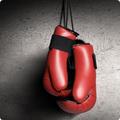 Boxing Sound FX