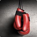 Boxing Sound FX APK