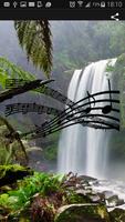 Nature Sounds اسکرین شاٹ 1