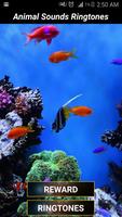 پوستر Animals Sounds Ringtone