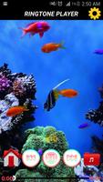 برنامه‌نما Animals Sounds Ringtone عکس از صفحه