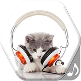 Cat Sounds icon