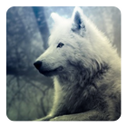 Wolf howl sound Widget biểu tượng