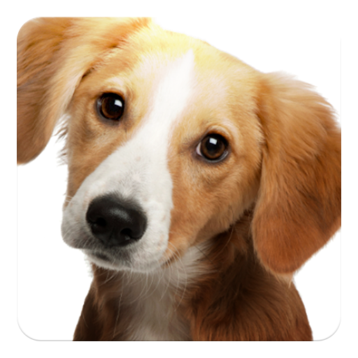 Dog barking sounds Widget