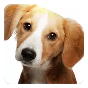 Dog barking sounds Widget