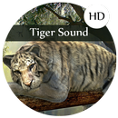 Tiger Sounds  and Ringtones APK