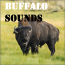 APK Buffalo Sounds