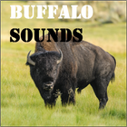Buffalo Sounds icône