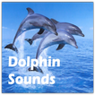 Dolphin Sounds