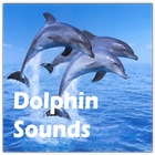 Dolphin Sounds ícone